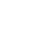 Lacerta